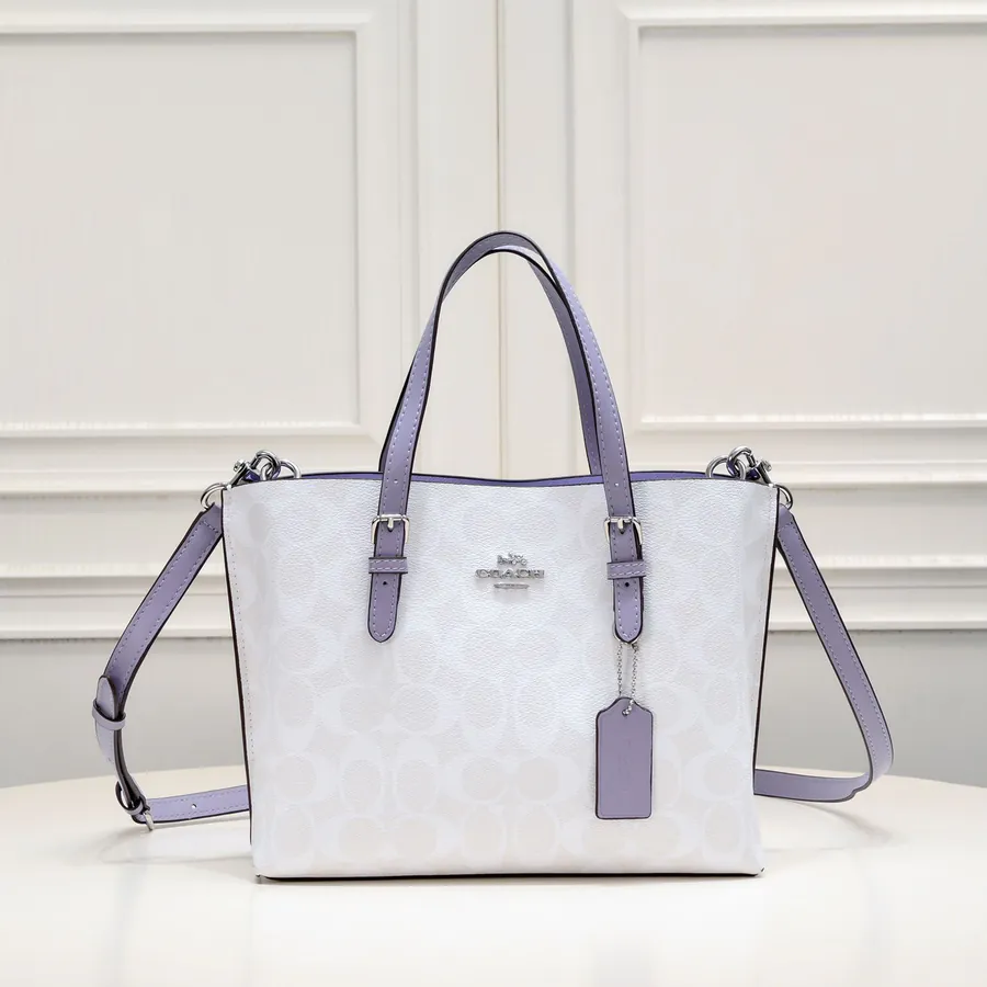 Coach New Mollie Tote Mini Size