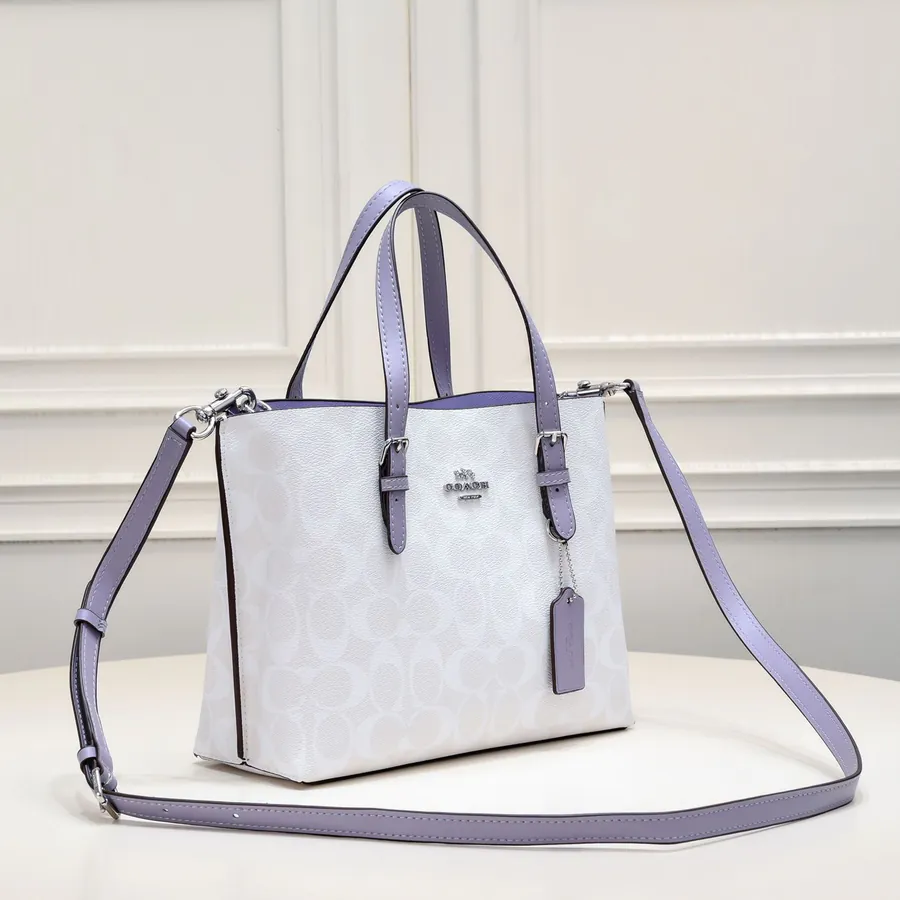 Coach New Mollie Tote Mini Size