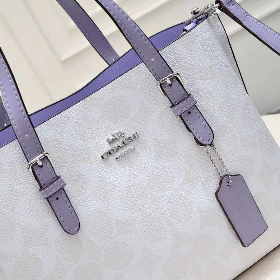 Coach New Mollie Tote Mini Size