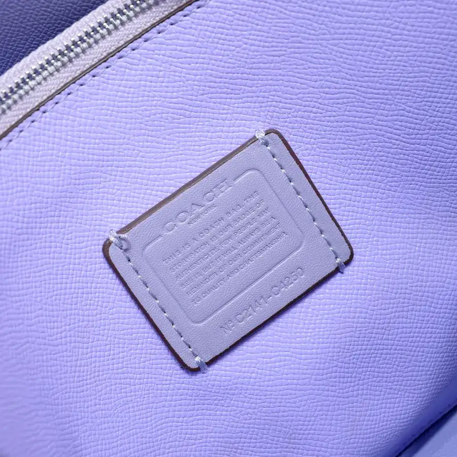 Coach New Mollie Tote Mini Size