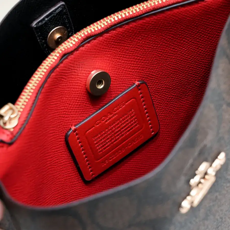 Coach P250 Mollie Bucket Bag Mini