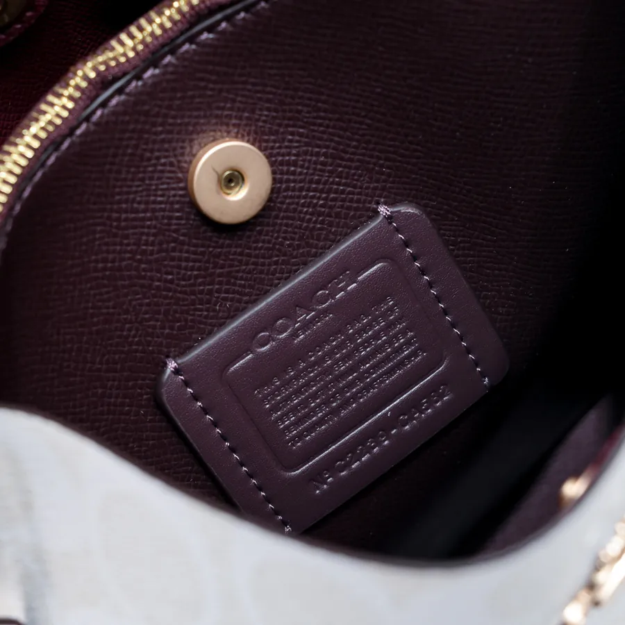 Coach P250 Mollie Bucket Bag Mini