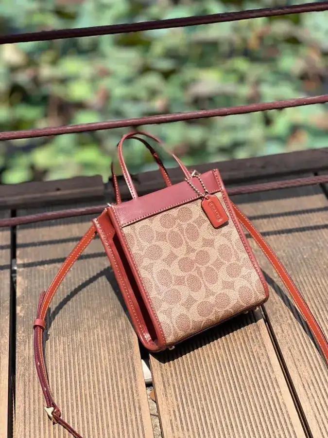 Coach Cashin Tote Mini Tote