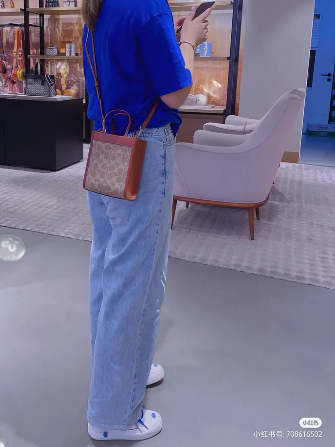Coach Cashin Tote Mini Tote