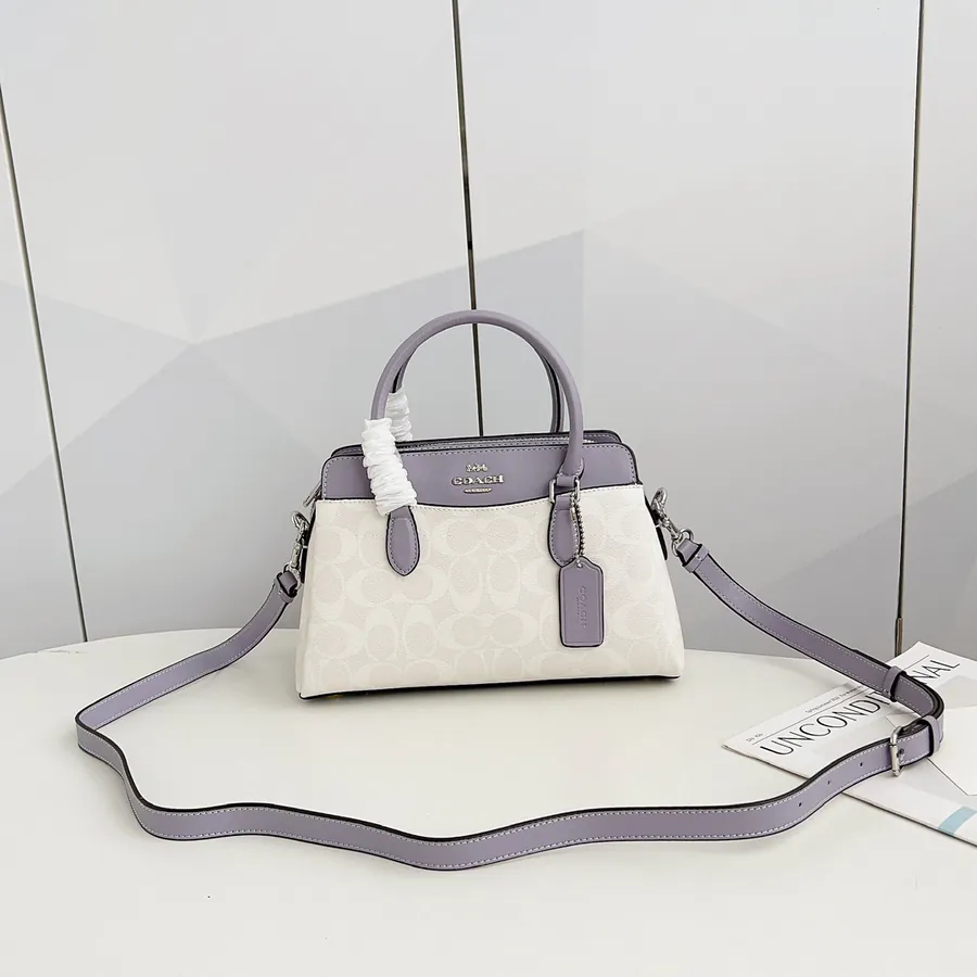 Coach Darcie Mini Crossbody Bag with Extra Compartments