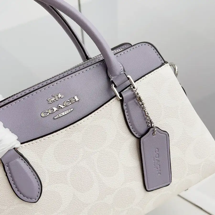 Coach Darcie Mini Crossbody Bag with Extra Compartments