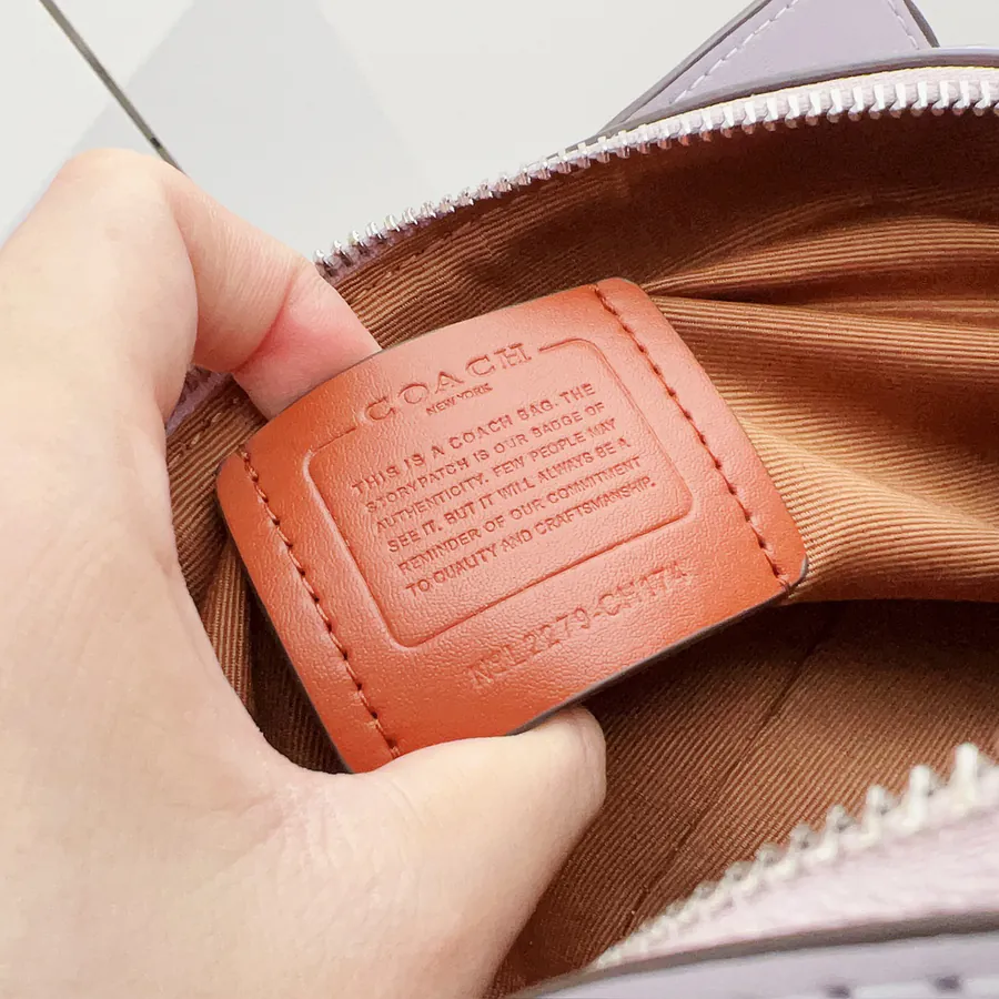 Coach Darcie Mini Crossbody Bag with Extra Compartments