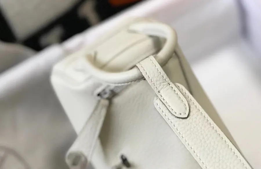Mini Lindy Togo Bag in Top Grain Calfskin with Silver Clasp