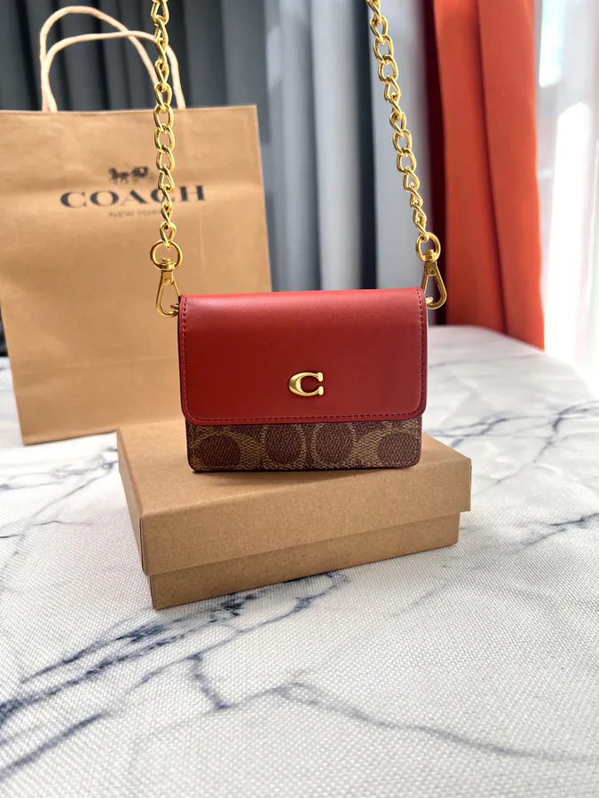 Coach Mini Print Bucket Bag with Brown Chain Strap