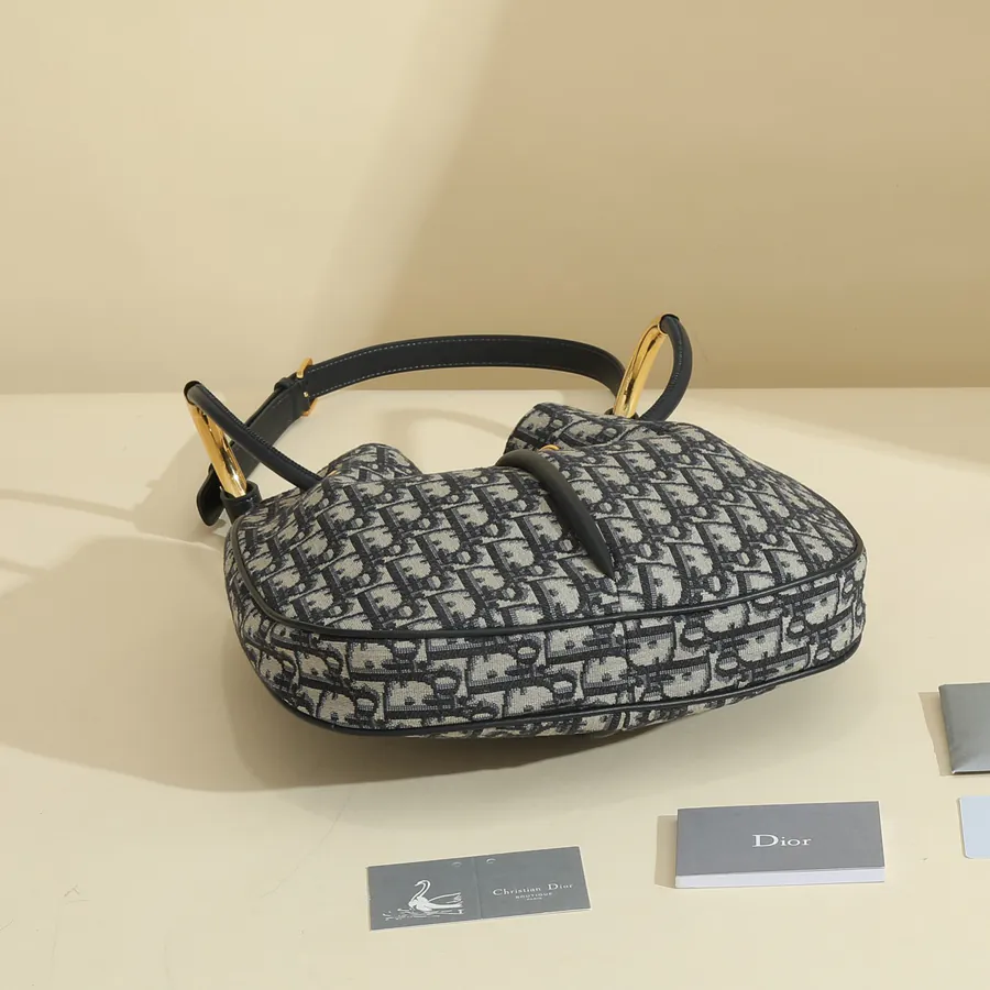 Dior Nolita Handbag Modern Elegance in Medium Size