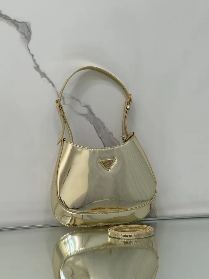 Cheo Crossbody Bag with Painted Calfskin