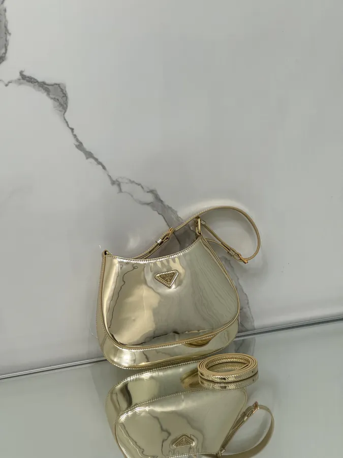 Cheo Crossbody Bag with Painted Calfskin