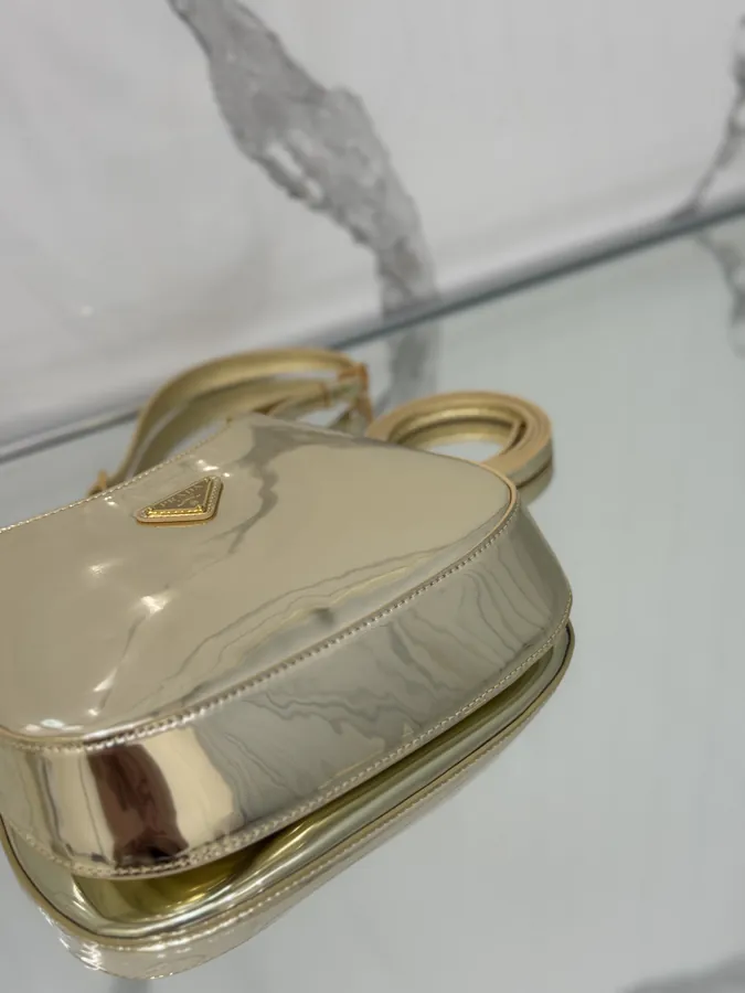 Cheo Crossbody Bag with Painted Calfskin