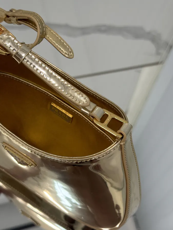 Cheo Crossbody Bag with Painted Calfskin