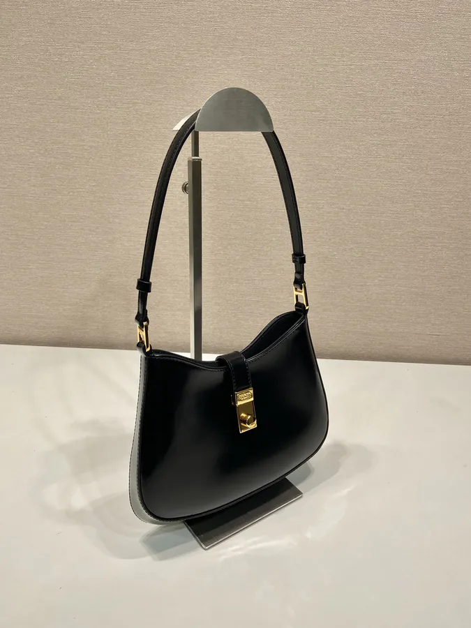 Cheo Shoulder Bag Premium Glossy Calfskin, Versatile Style