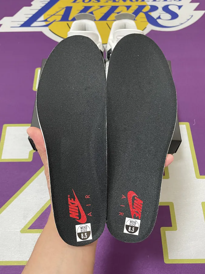SB x Air 4 Retro Basketball Shoes