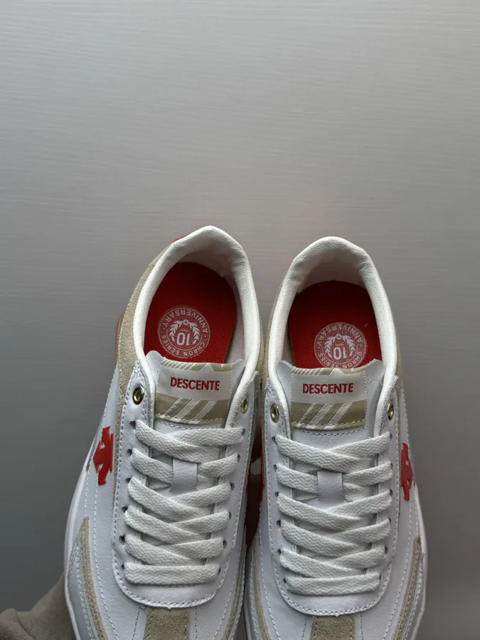 DESCENTE Cron Racer White Red
