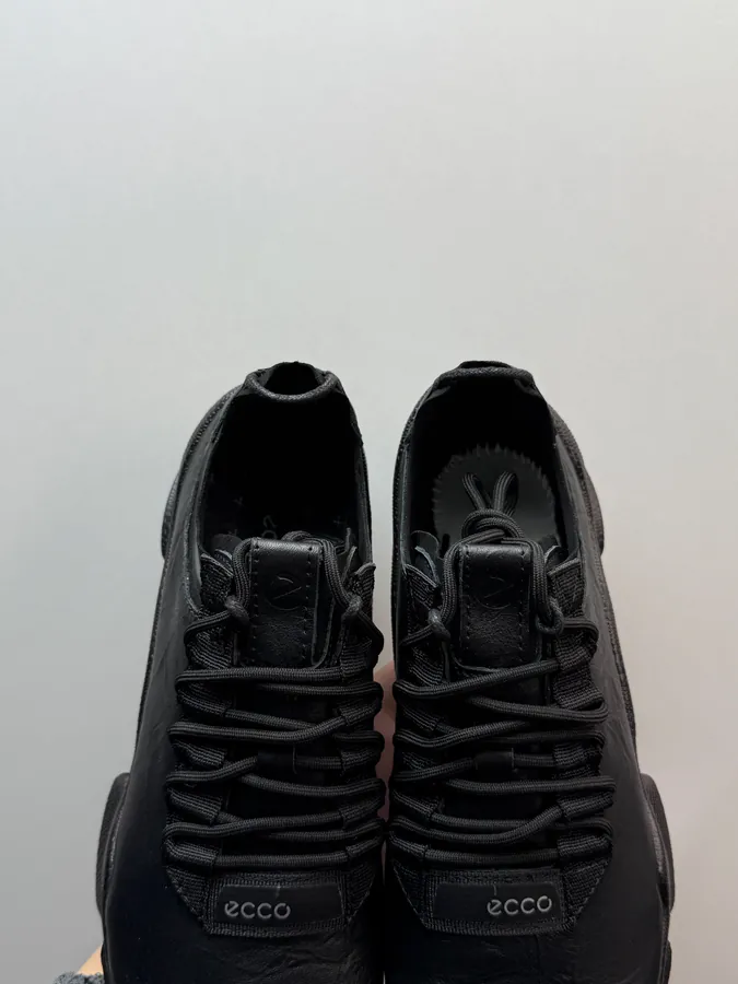 Ecco Biom C Black