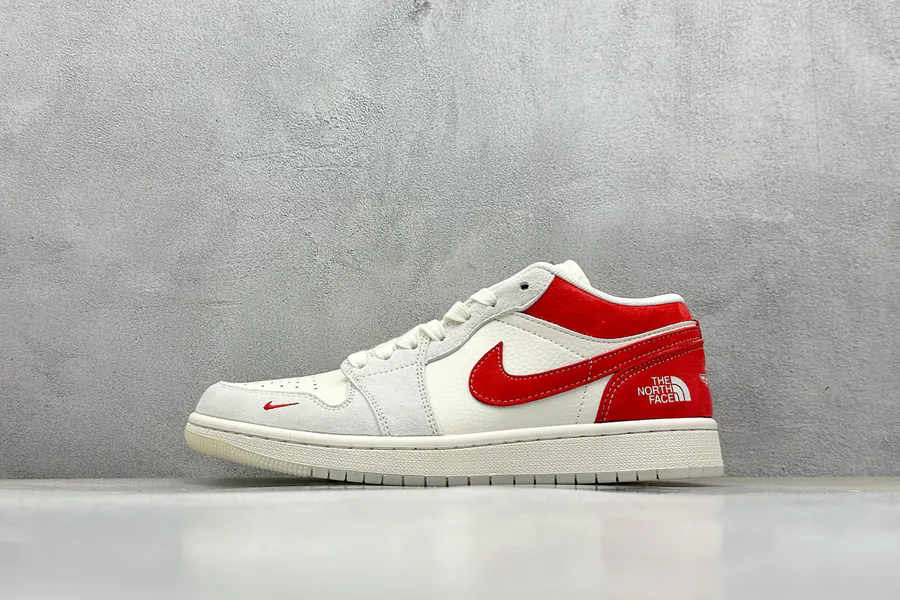Air 1 Retro Low x The North Face
