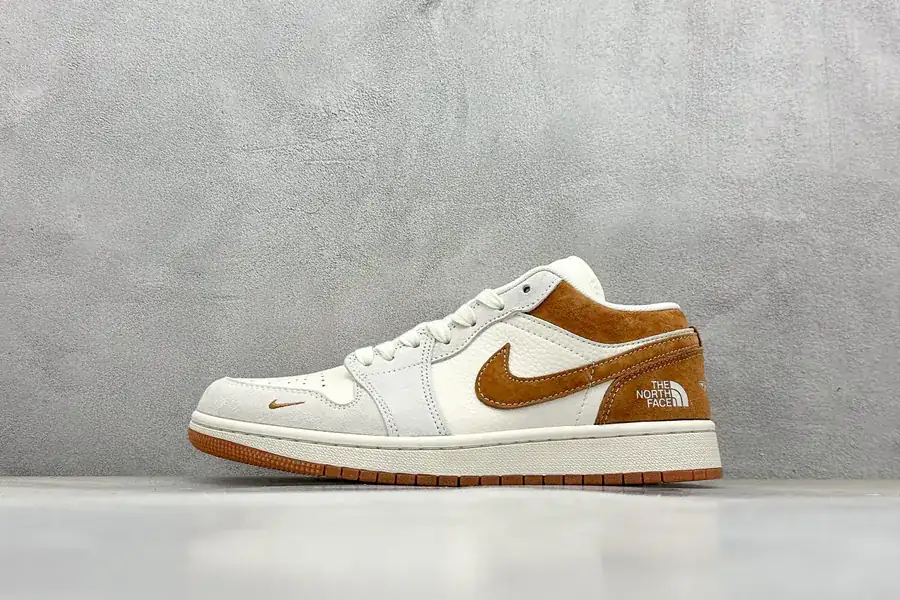 Air 1 Retro Low x The North Face