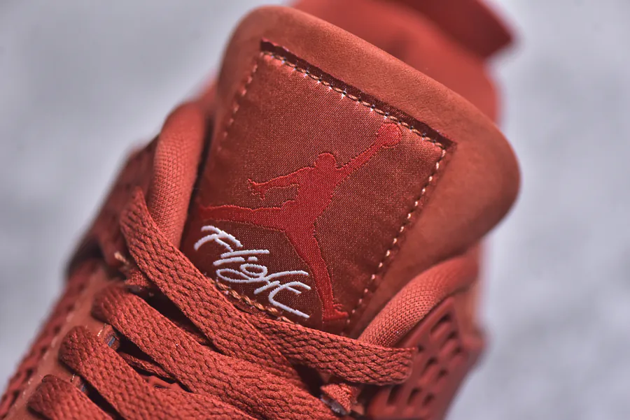 Nigel Syester x Air 4 OG Bri by Bri Bike Shoe