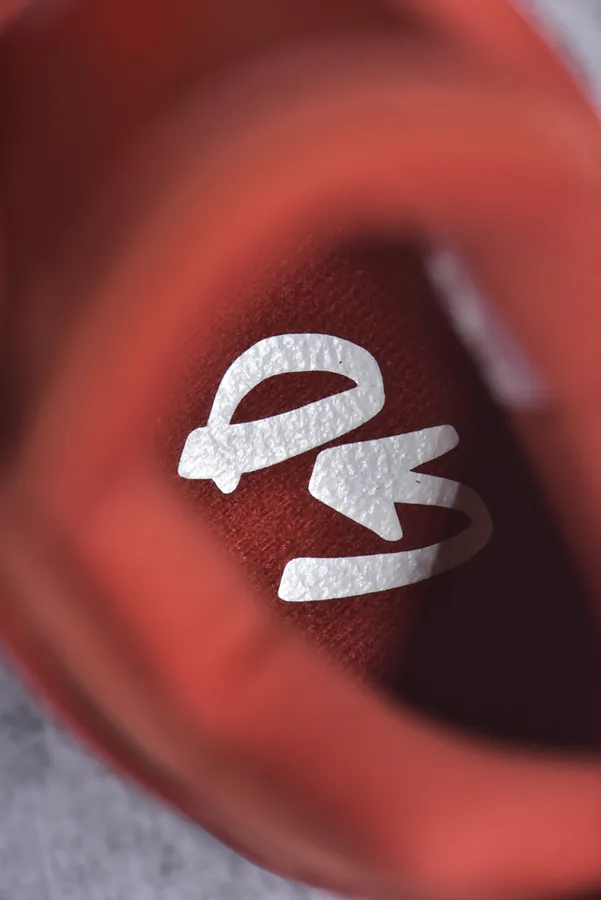 Nigel Syester x Air 4 OG Bri by Bri Bike Shoe