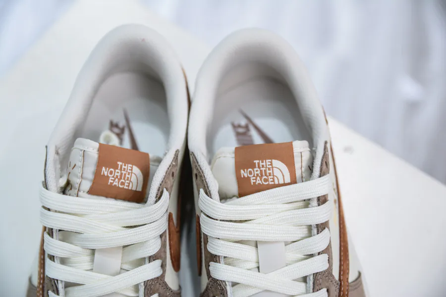 TS x Air 1 Low x The North Face Collaboration Sneaker