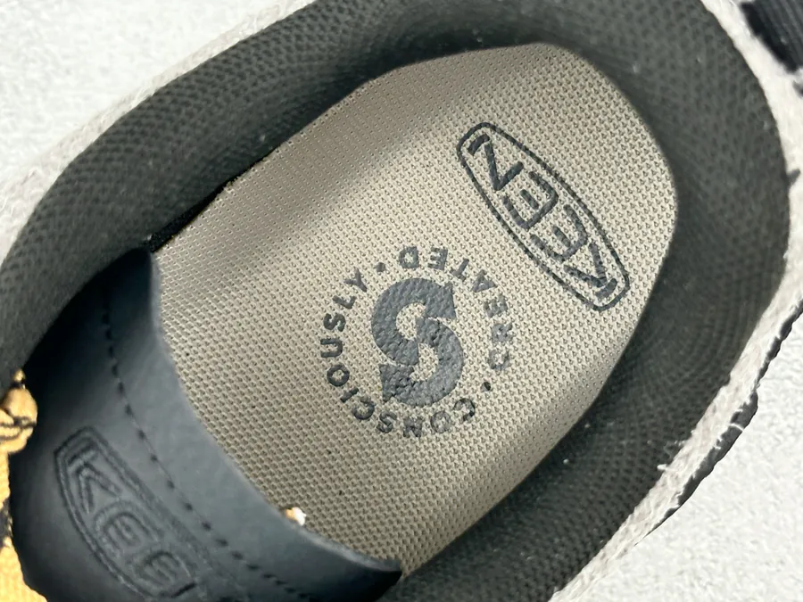 KEEN Jasper Zionic in Gray