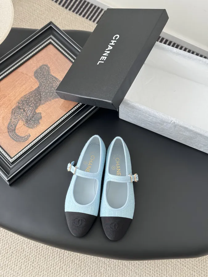 Chanel Mary Jane Loafer in New Color