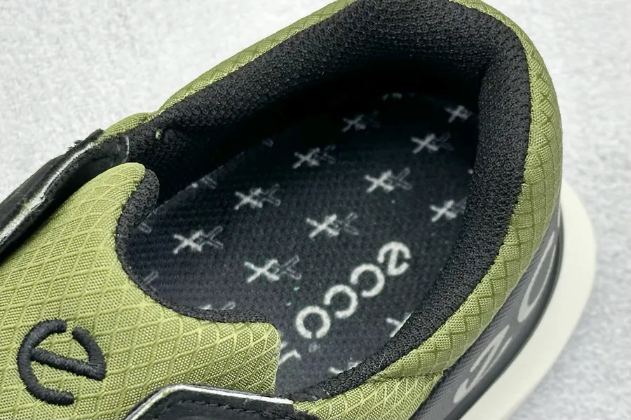 ECCO BIOM 25th Anniversary Running Shoes for Men
