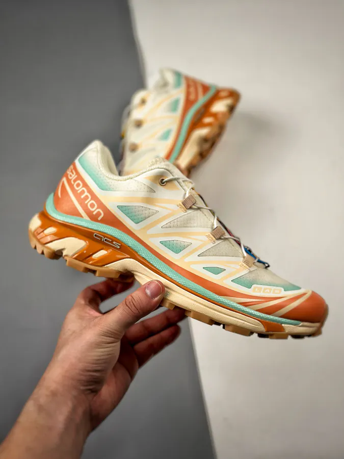 Salomon XT 6 Retro Tech Sneaker