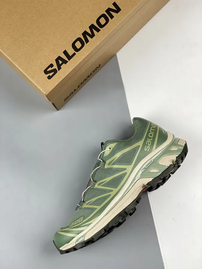 Salomon XT 6 Expanse in Moonflower