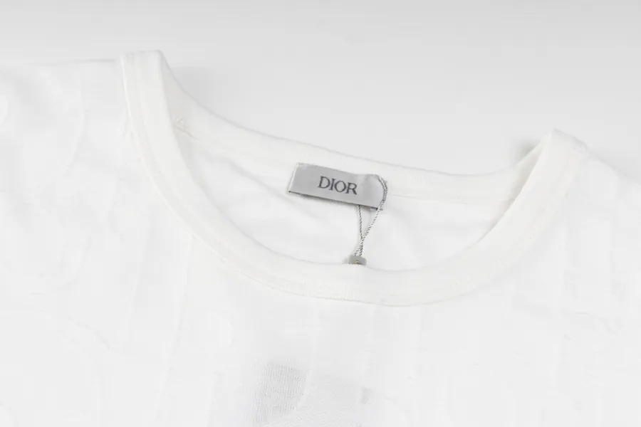 DIOR 25SS Float Embroidery T Shirt