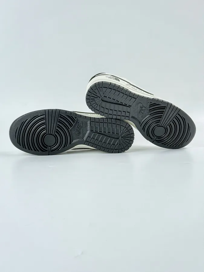 Nike SB Dunk Low x The North Face OG Edition
