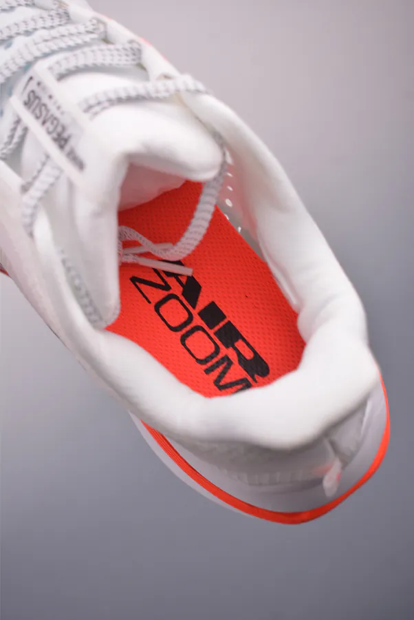 Nike Pegasus Premium Low Top Running Shoes