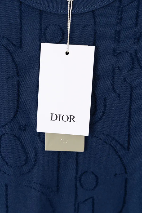 DIOR 25SS Float Embroidery T Shirt