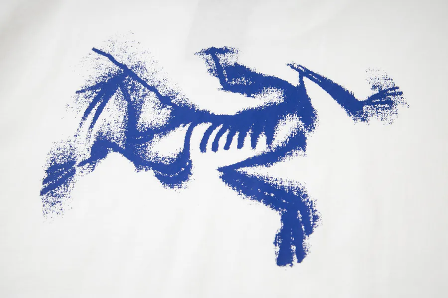 Arcteryx始祖鸟 Logo Print Oversize T Shirt