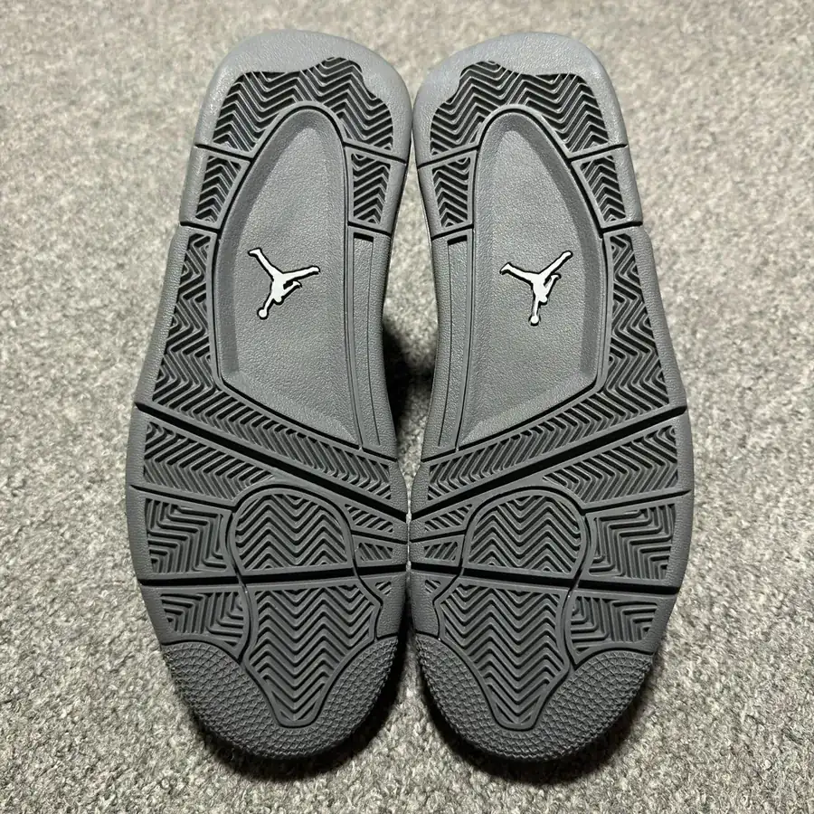 Air Jordan 4 Smoke Grey FQ7928 001
