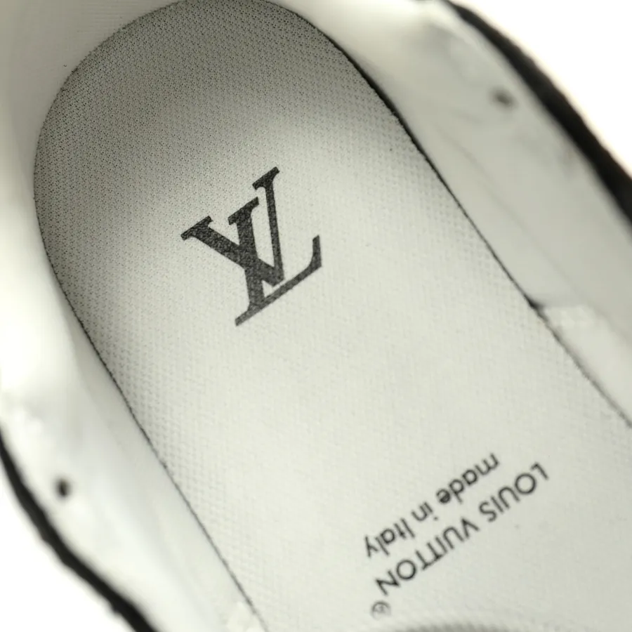 Louis Vuitton Olympia Low Sneaker Silver Brown Monogram, 1AHOEV