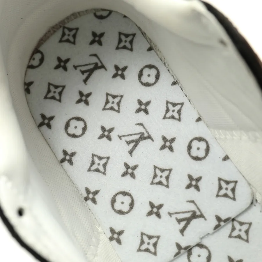 Louis Vuitton Olympia Low Sneaker Silver Brown Monogram, 1AHOEV