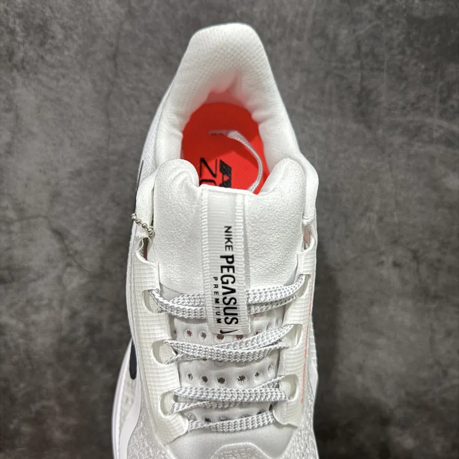 Nike Pegasus Premium Airscape Low Top Running Shoes