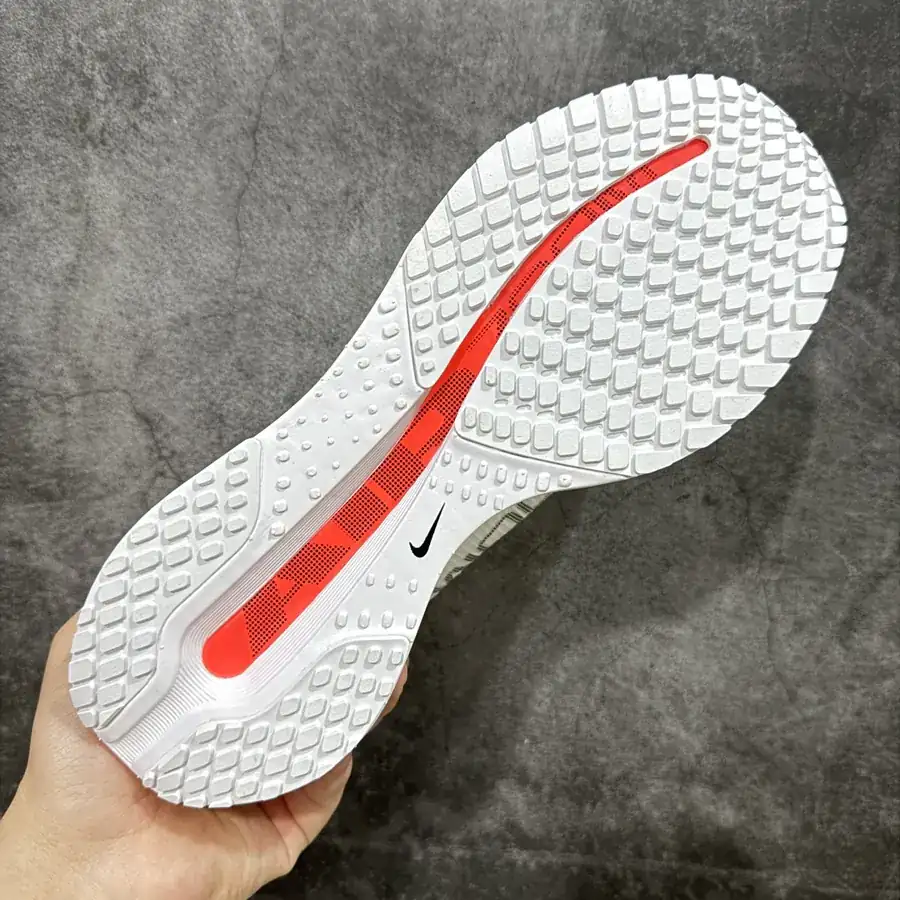 Nike Pegasus Premium Airscape Low Top Running Shoes