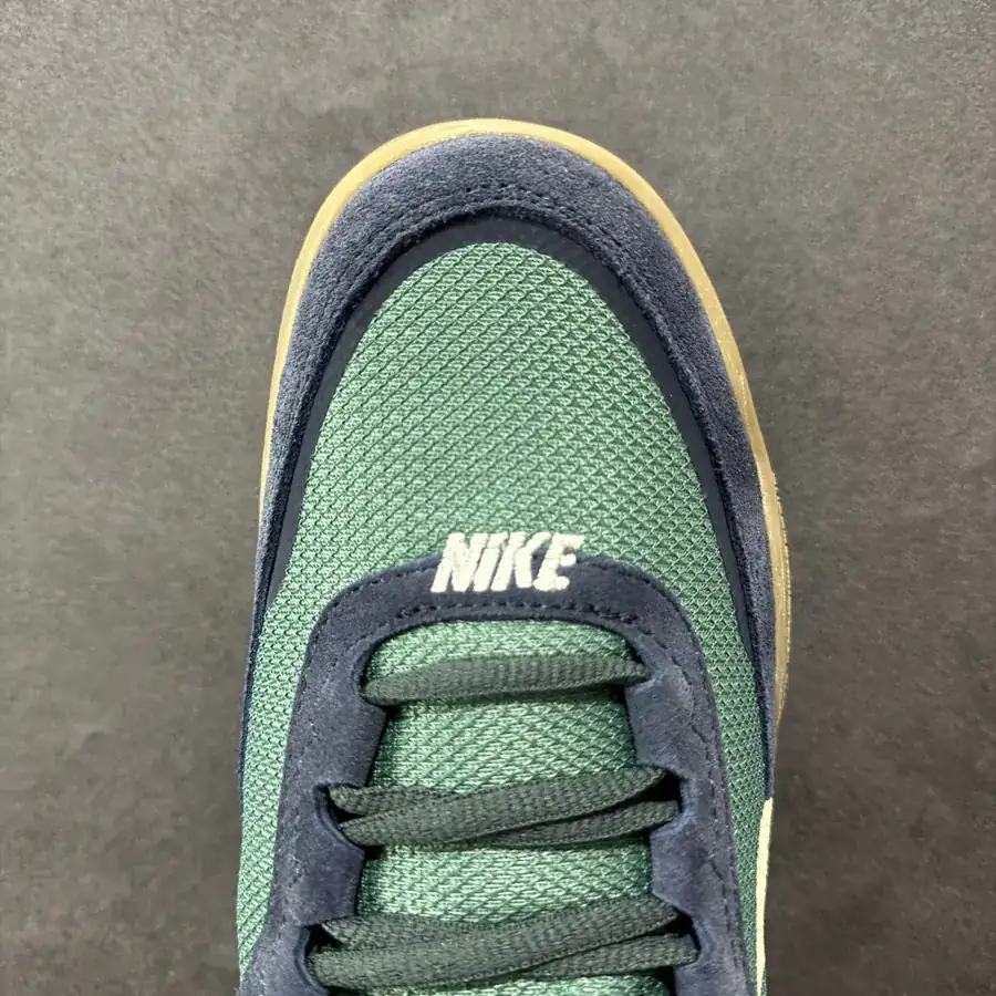 Nike SB Day One Premium Skateboarding Sneakers
