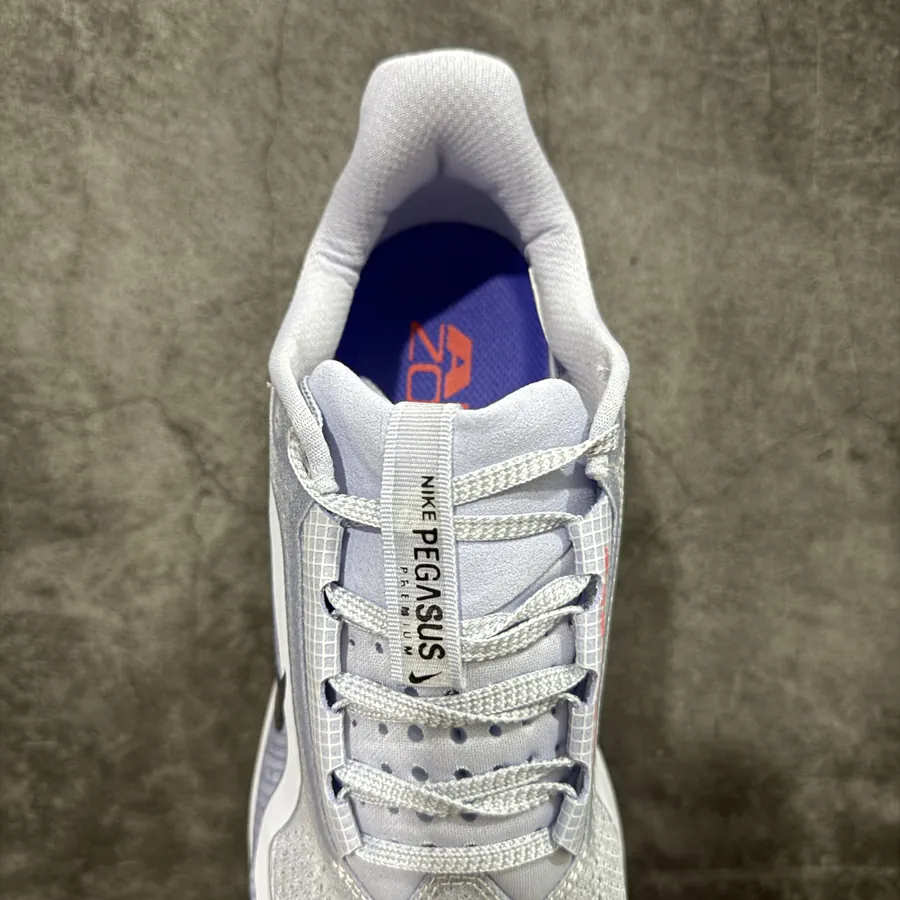 Nike Pegasus Premium Airscape Running Shoes