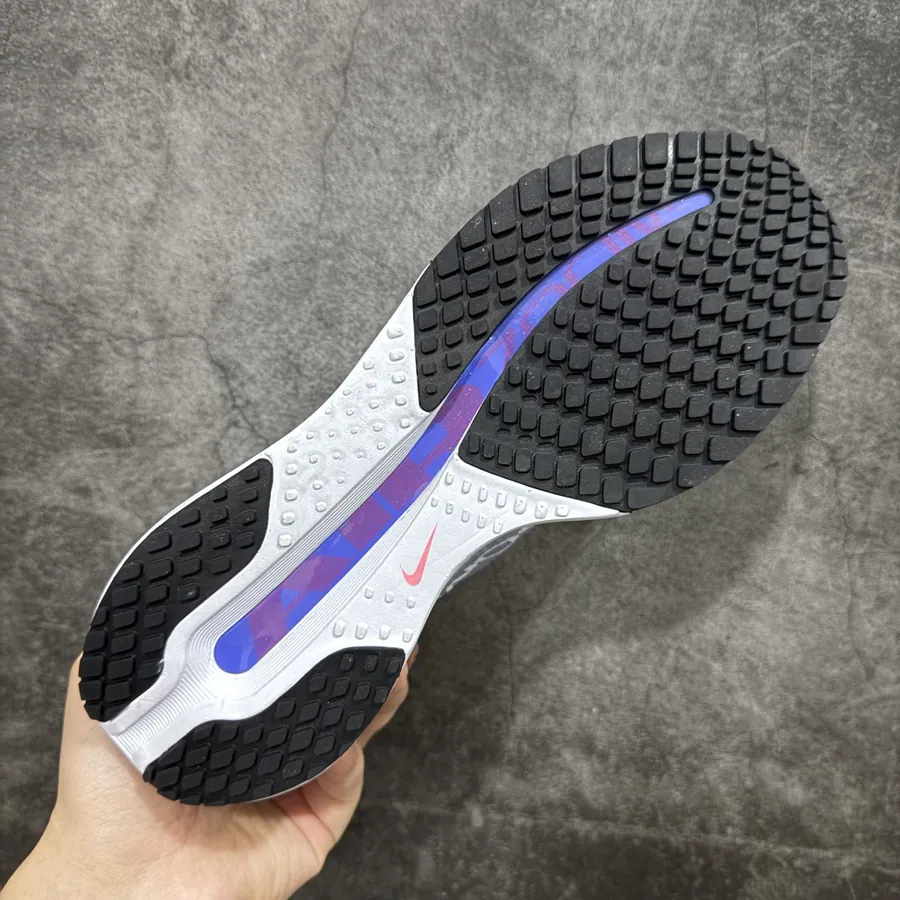 Nike Pegasus Premium Airscape Running Shoes