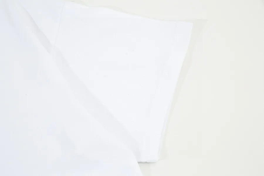 FEN Fendi 2025 Summer Limited Edition Snake Logo T Shirt