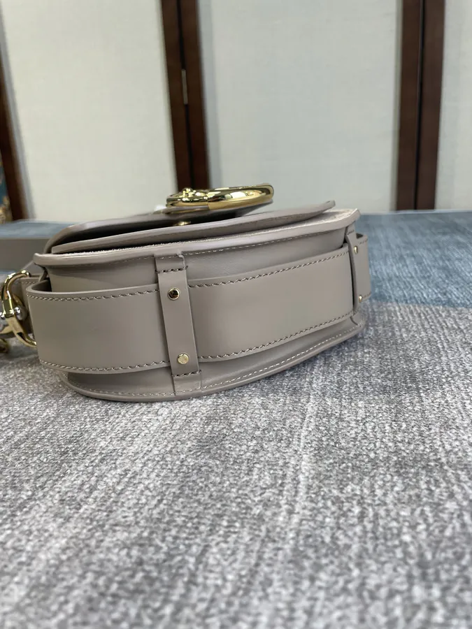 Chlo Tess Autumn Winter New Mini Satchel
