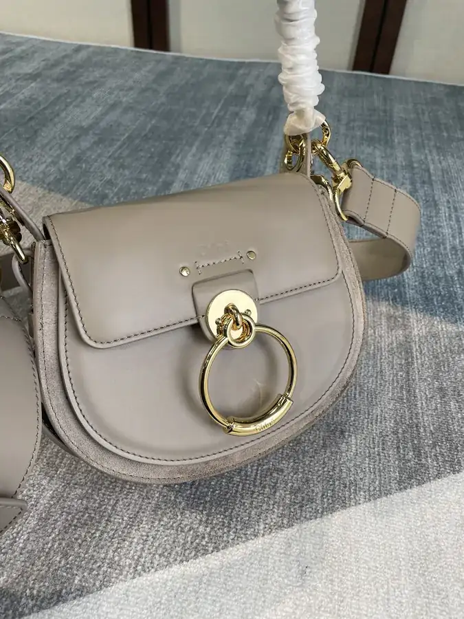 Chlo Tess Autumn Winter New Mini Satchel