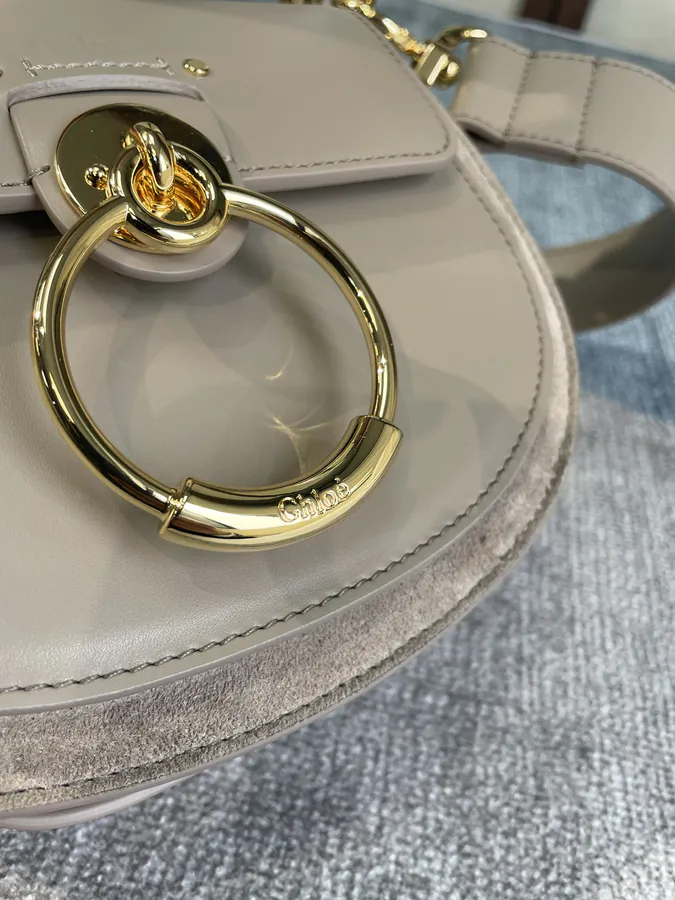 Chlo Tess Autumn Winter New Mini Satchel
