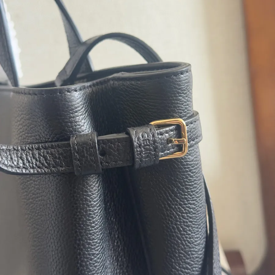 CE New Arrival Anais Cabas in Grained Calfskin Tote